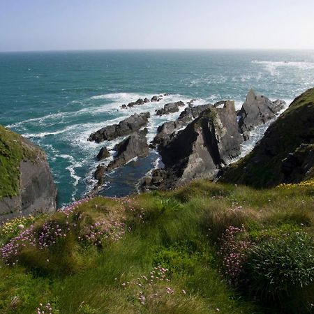 Galley Head Lightkeeper'S Houses Donoure Buitenkant foto
